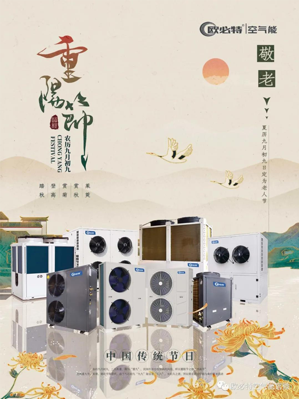 潮南重阳 | 赏菊登高觅秋色，感恩敬老传孝道