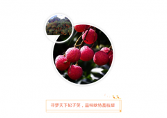 潮南做欧必特的客户，我们宠你